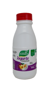 iogurte ameixa 180g